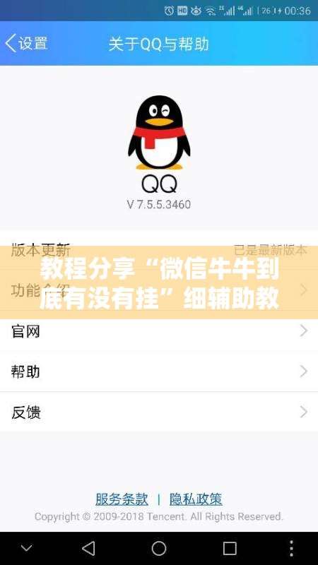 教程分享“微信牛牛到底有没有挂”细辅助教程分享