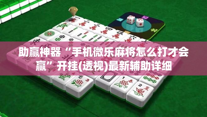 助赢神器“手机微乐麻将怎么打才会赢”开挂(透视)最新辅助详细
