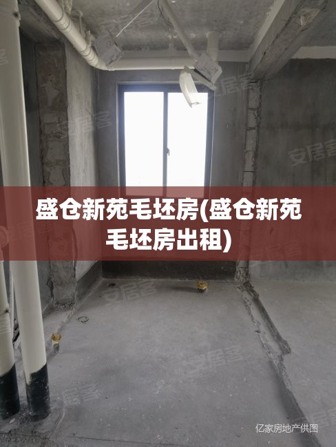 盛仓新苑毛坯房(盛仓新苑毛坯房出租)