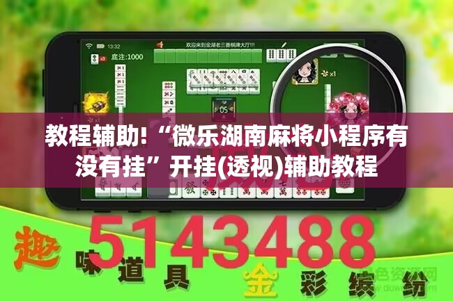 教程辅助!“微乐湖南麻将小程序有没有挂”开挂(透视)辅助教程