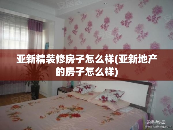 亚新精装修房子怎么样(亚新地产的房子怎么样)