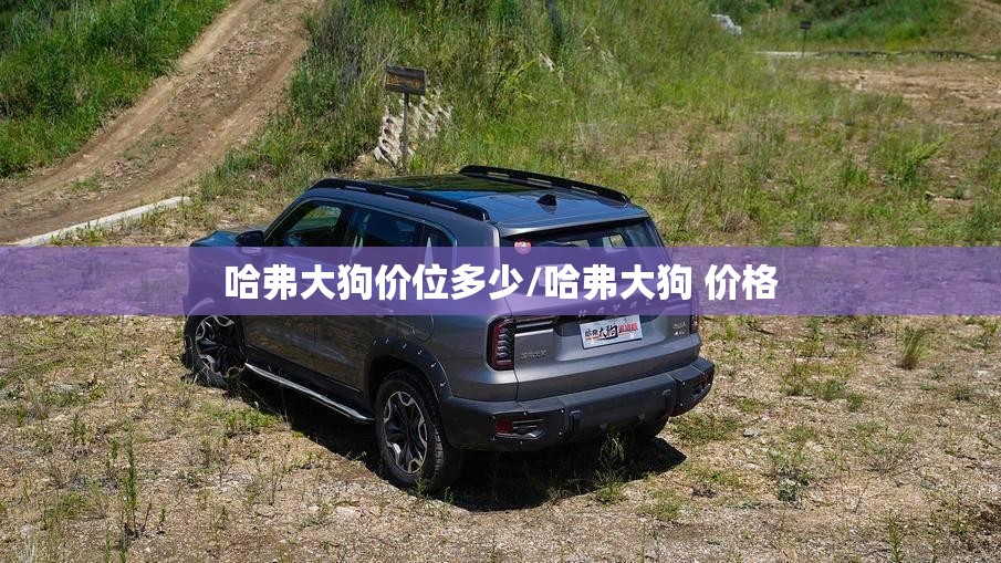 哈弗大狗价位多少/哈弗大狗 价格 哈弗大狗价位多少/哈弗大狗 价格