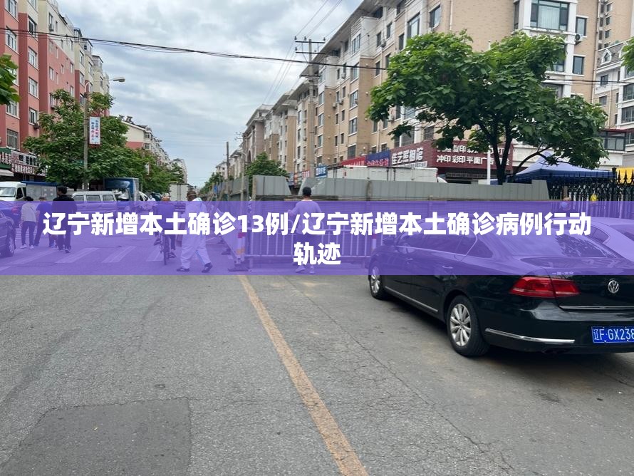 辽宁新增本土确诊13例/辽宁新增本土确诊病例行动轨迹
