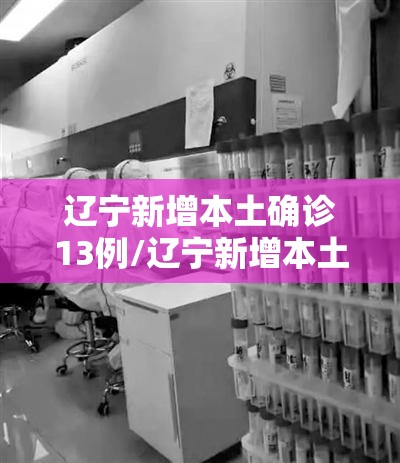 辽宁新增本土确诊13例/辽宁新增本土确诊病例行动轨迹