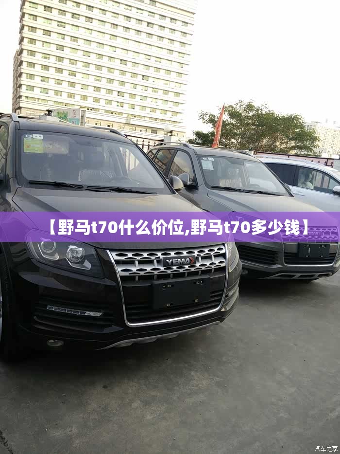 【野马t70什么价位,野马t70多少钱】
