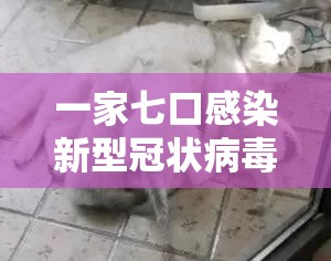 一家七口感染新型冠状病毒/一家7口感染新型冠状病毒 一家七口感染新型冠状病毒/一家7口感染新型冠状病毒