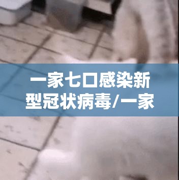 一家七口感染新型冠状病毒/一家7口感染新型冠状病毒 一家七口感染新型冠状病毒/一家7口感染新型冠状病毒