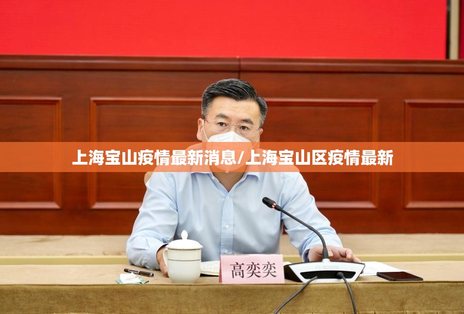 上海宝山疫情最新消息/上海宝山区疫情最新