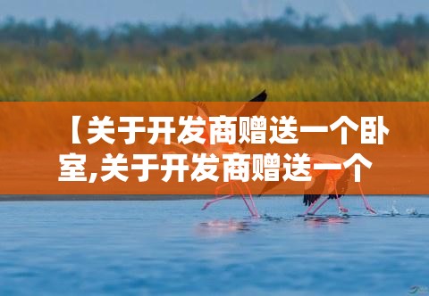 【关于开发商赠送一个卧室,关于开发商赠送一个卧室的文案】