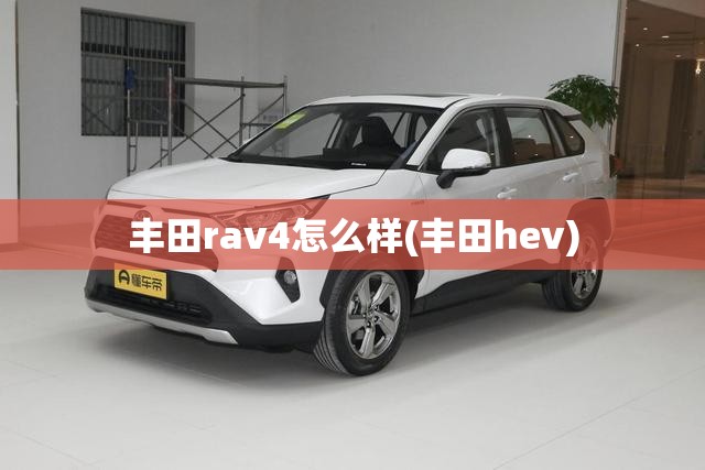 丰田rav4怎么样(丰田hev)