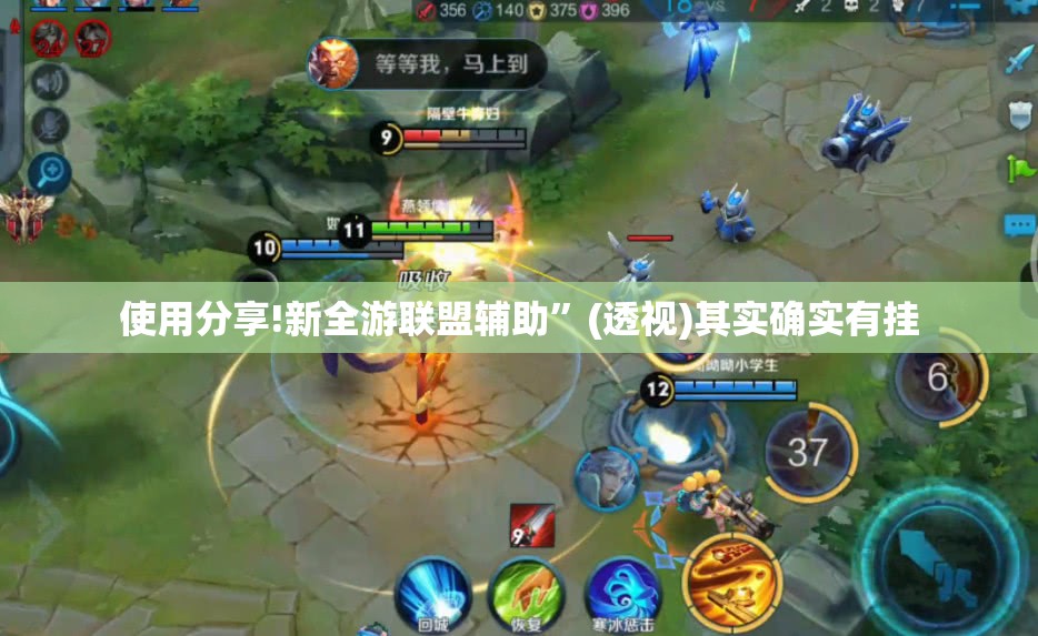 使用分享!新全游联盟辅助”(透视)其实确实有挂