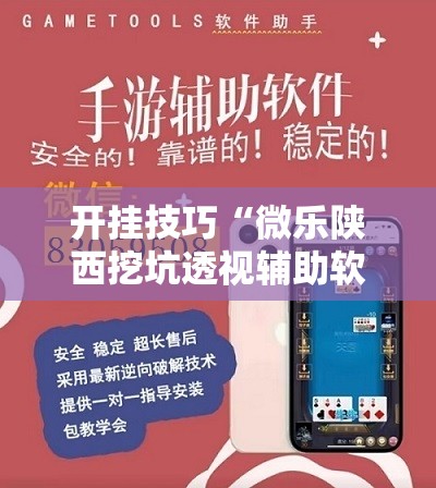 开挂技巧“微乐陕西挖坑透视辅助软件”其实确实有挂