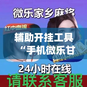 辅助开挂工具“手机微乐甘肃麻将开挂辅助器通用版(透视)”开挂辅助脚本+详细开挂安装教程