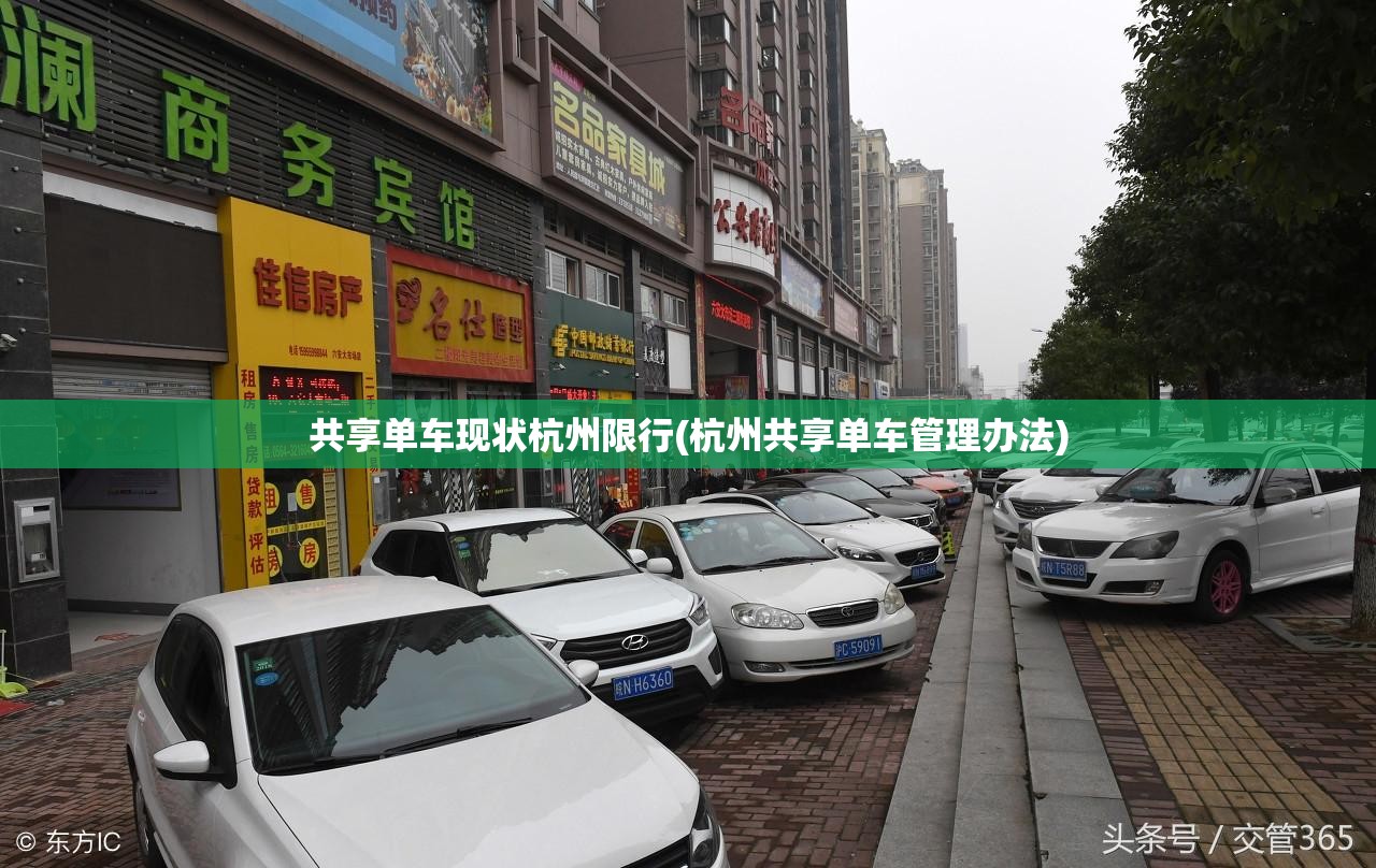共享单车现状杭州限行(杭州共享单车管理办法) 共享单车现状杭州限行(杭州共享单车管理办法)