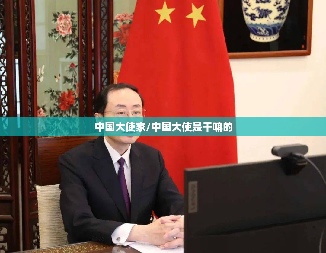 中国大使家/中国大使是干嘛的