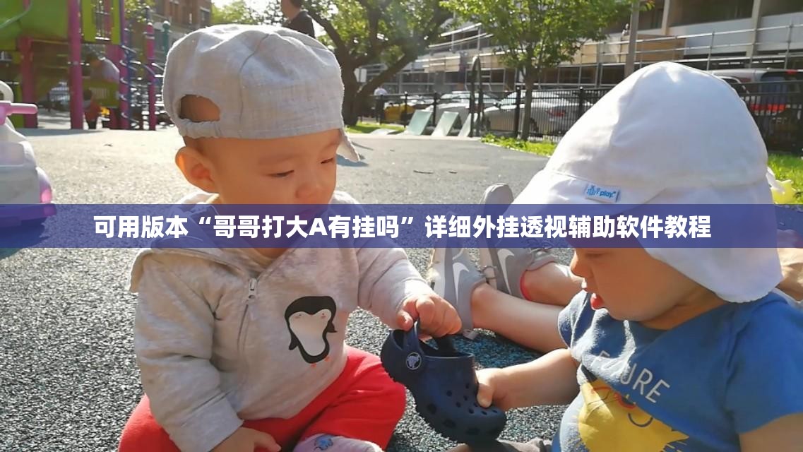 可用版本“哥哥打大A有挂吗”详细外挂透视辅助软件教程