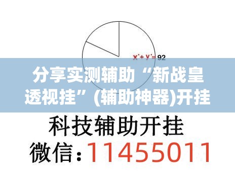 分享实测辅助“新战皇透视挂”(辅助神器)开挂详细教程