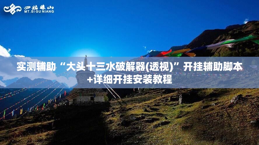 实测辅助“大头十三水破解器(透视)”开挂辅助脚本+详细开挂安装教程