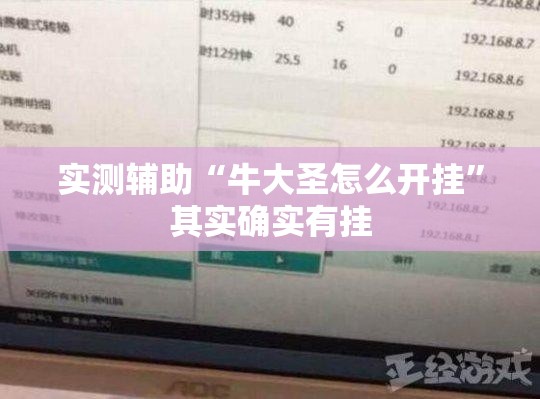 实测辅助“牛大圣怎么开挂”其实确实有挂