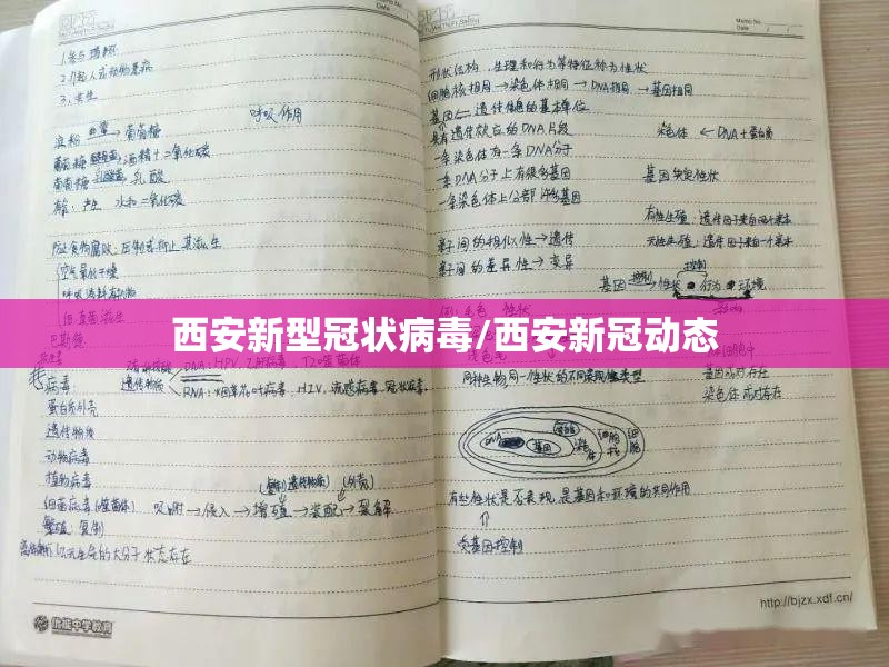西安新型冠状病毒/西安新冠动态
