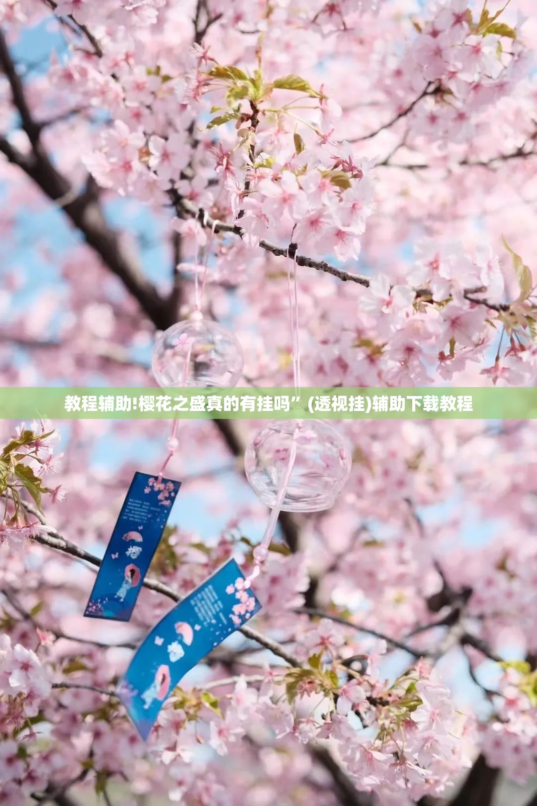 教程辅助!樱花之盛真的有挂吗”(透视挂)辅助下载教程
