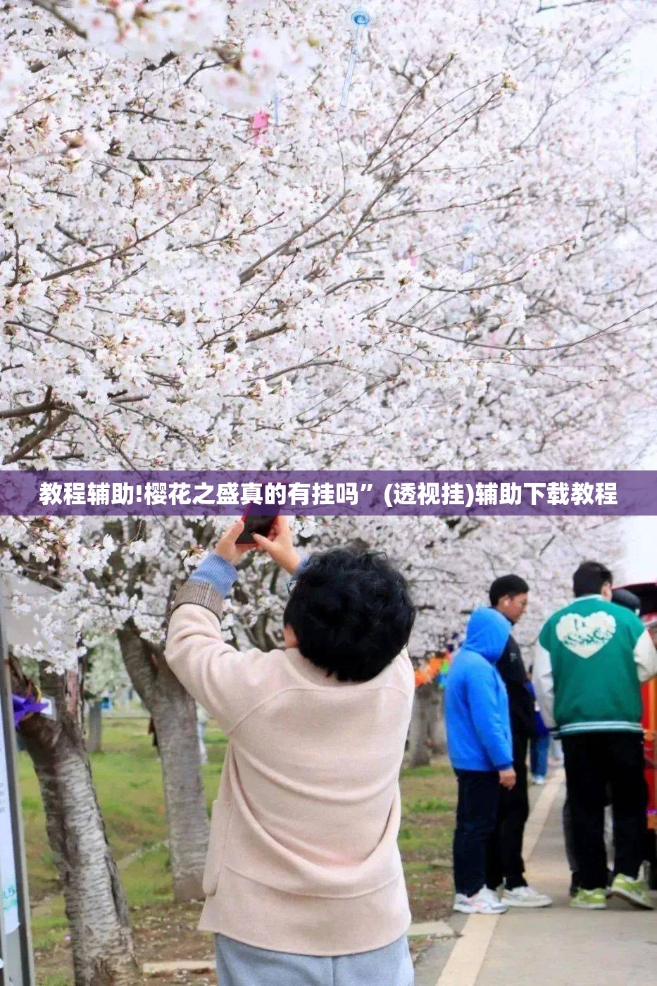 教程辅助!樱花之盛真的有挂吗”(透视挂)辅助下载教程