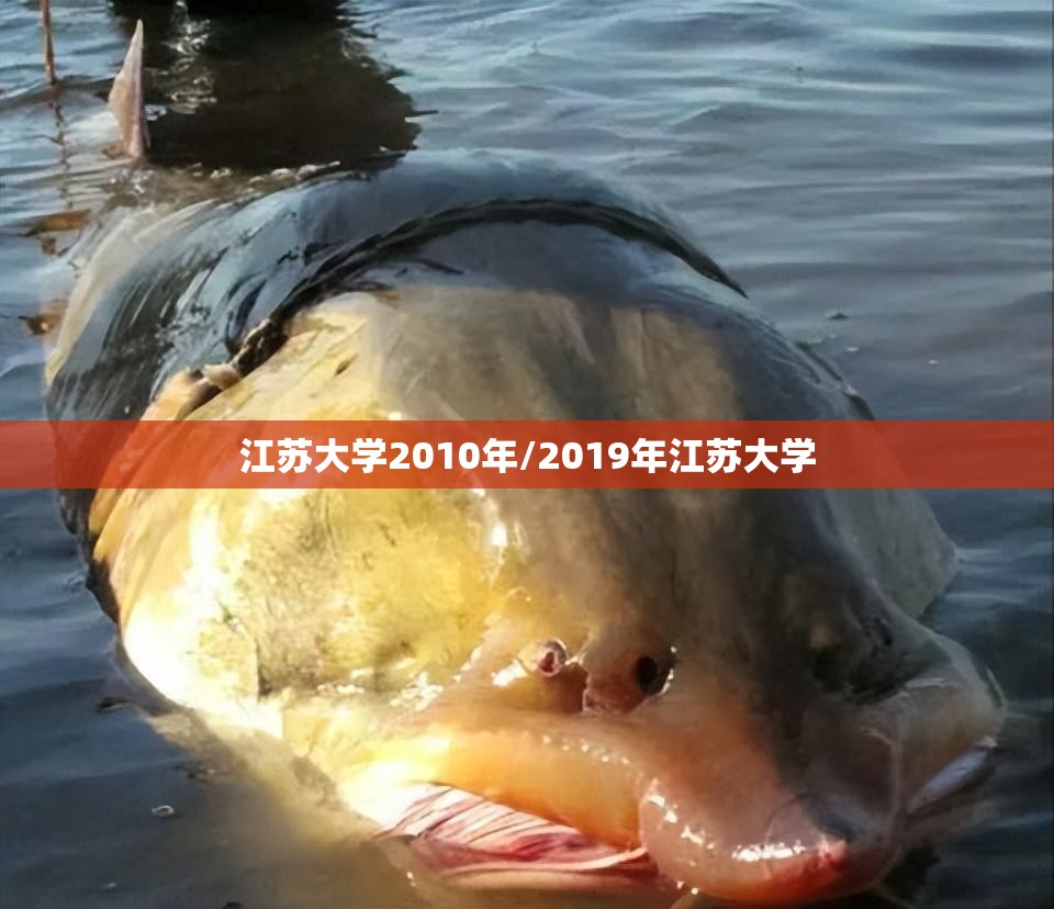 江苏大学2010年/2019年江苏大学