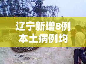 辽宁新增8例本土病例均在大连/辽宁新增11例本土确诊病例均在大连