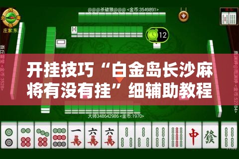 开挂技巧“白金岛长沙麻将有没有挂”细辅助教程分享