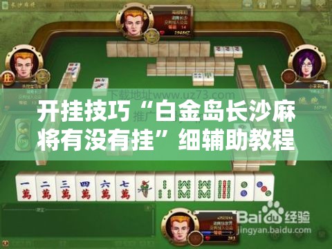 开挂技巧“白金岛长沙麻将有没有挂”细辅助教程分享