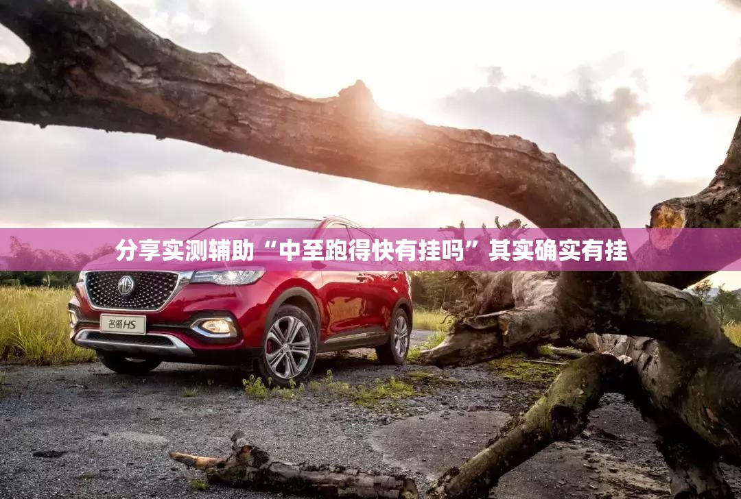 分享实测辅助“中至跑得快有挂吗”其实确实有挂
