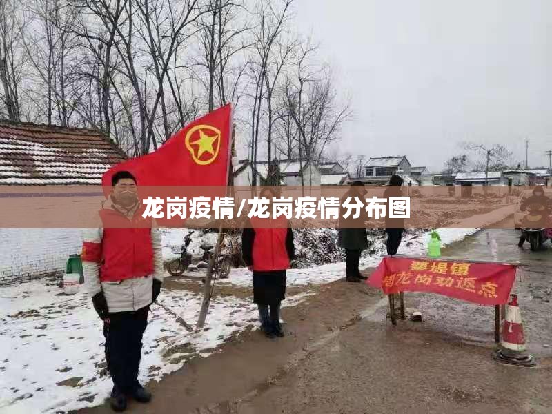 龙岗疫情/龙岗疫情分布图