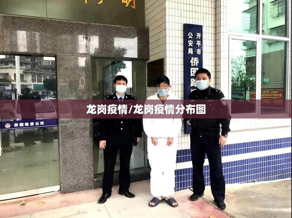 龙岗疫情/龙岗疫情分布图