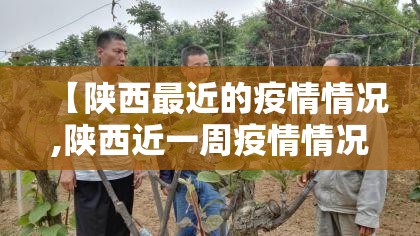 【陕西最近的疫情情况,陕西近一周疫情情况】