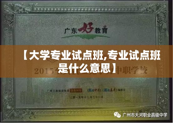 【大学专业试点班,专业试点班是什么意思】 【大学专业试点班,专业试点班是什么意思】