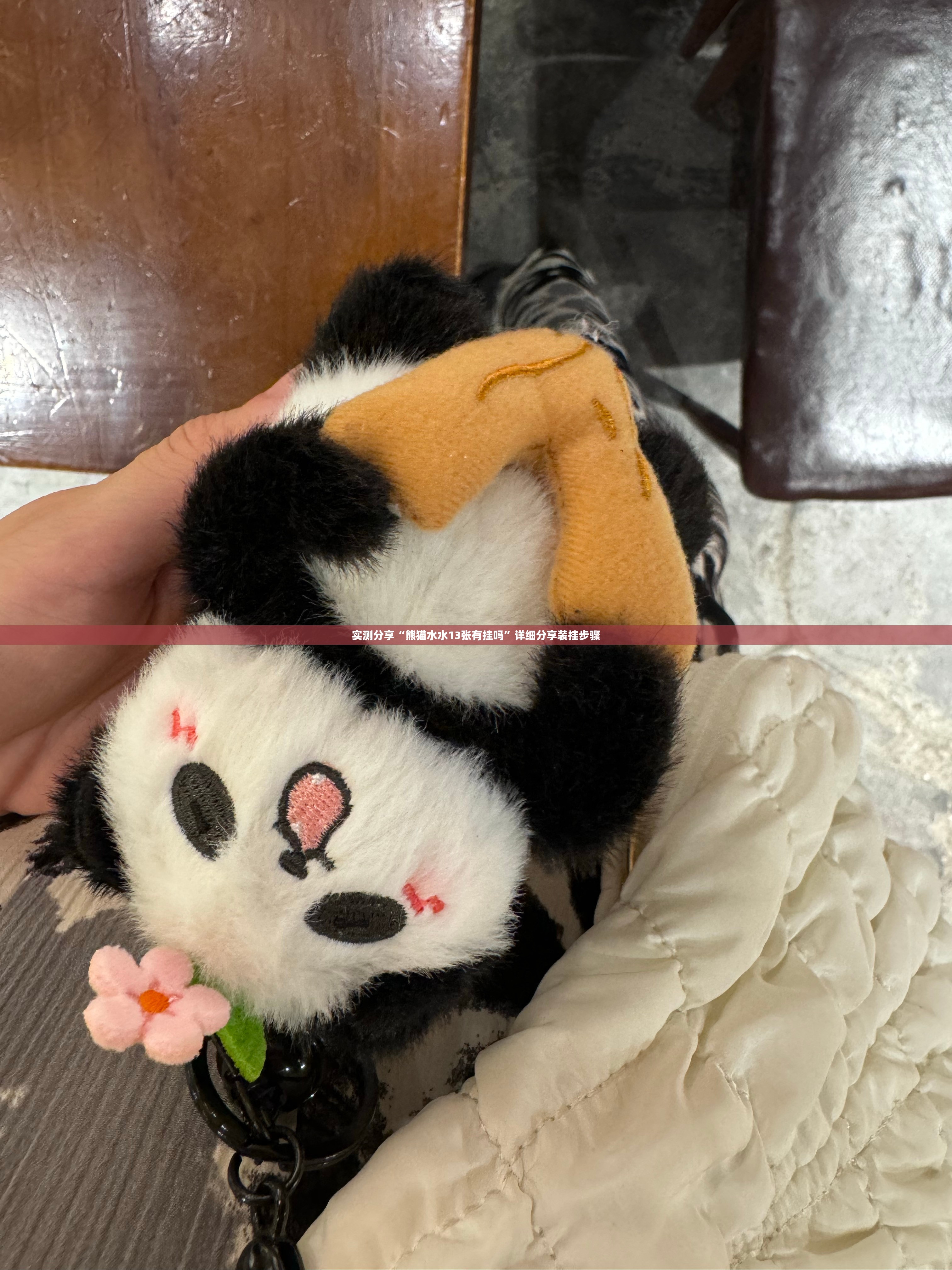 实测分享“熊猫水水13张有挂吗”详细分享装挂步骤
