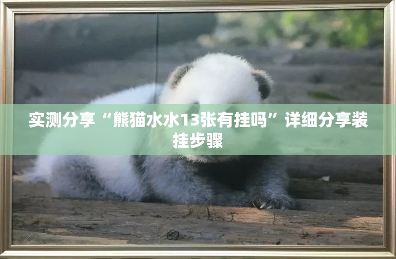 实测分享“熊猫水水13张有挂吗	”详细分享装挂步骤