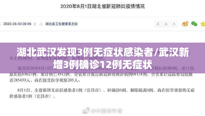 湖北武汉发现3例无症状感染者/武汉新增3例确诊12例无症状 湖北武汉发现3例无症状感染者/武汉新增3例确诊12例无症状
