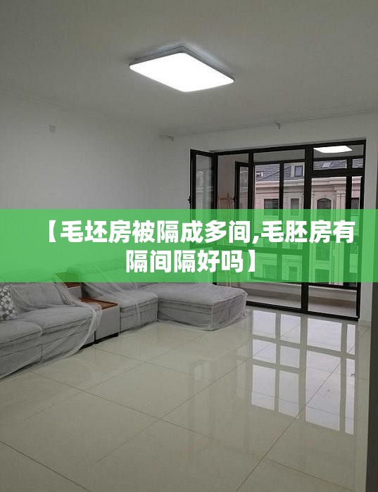 【毛坯房被隔成多间,毛胚房有隔间隔好吗】