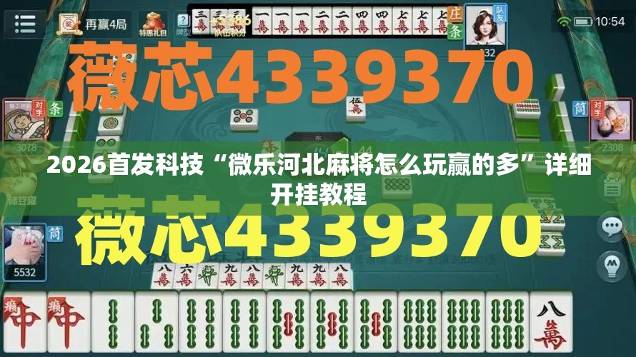 2026首发科技“微乐河北麻将怎么玩赢的多”详细开挂教程