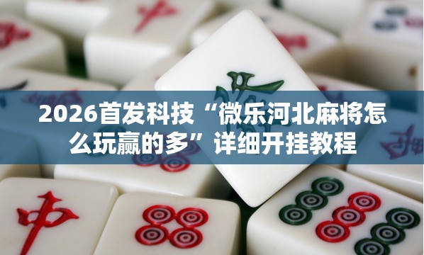 2026首发科技“微乐河北麻将怎么玩赢的多”详细开挂教程