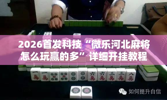 2026首发科技“微乐河北麻将怎么玩赢的多”详细开挂教程