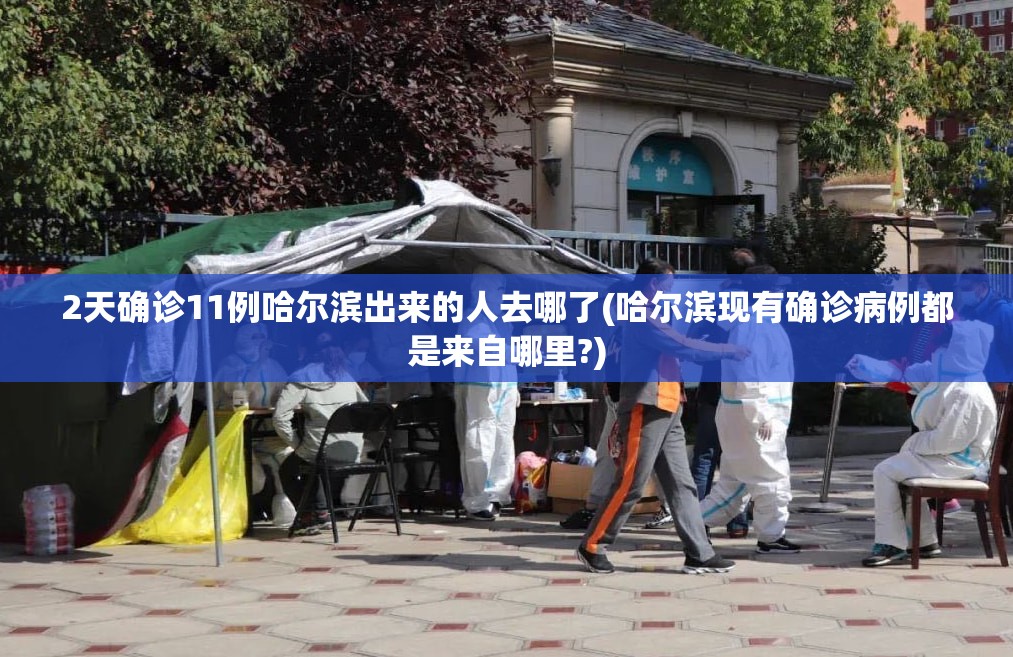 2天确诊11例哈尔滨出来的人去哪了(哈尔滨现有确诊病例都是来自哪里?) 2天确诊11例哈尔滨出来的人去哪了(哈尔滨现有确诊病例都是来自哪里?)