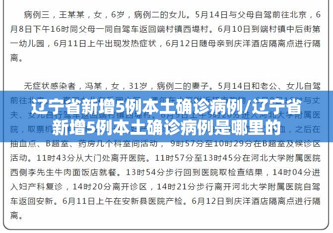 辽宁省新增5例本土确诊病例/辽宁省新增5例本土确诊病例是哪里的 辽宁省新增5例本土确诊病例/辽宁省新增5例本土确诊病例是哪里的