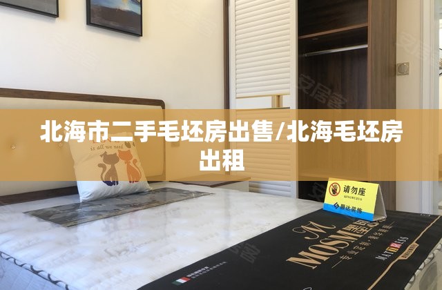 北海市二手毛坯房出售/北海毛坯房出租 北海市二手毛坯房出售/北海毛坯房出租