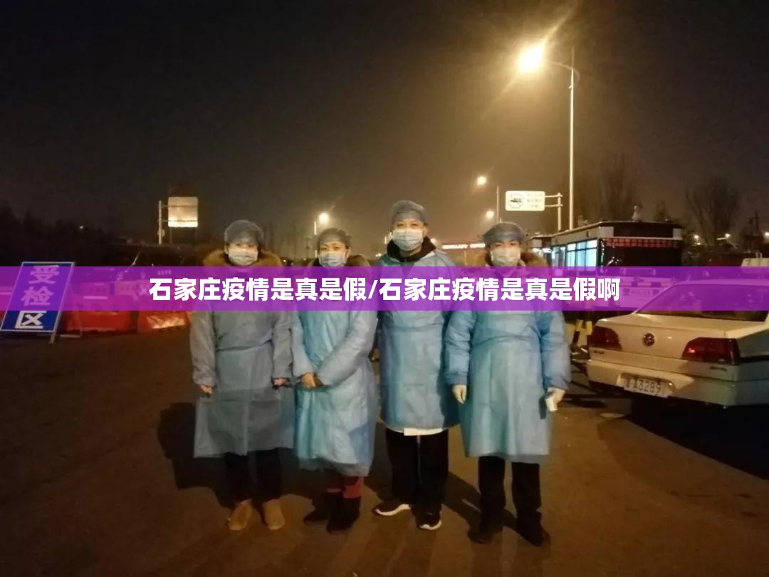 石家庄疫情是真是假/石家庄疫情是真是假啊 石家庄疫情是真是假/石家庄疫情是真是假啊