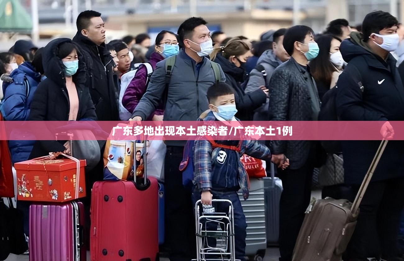 广东多地出现本土感染者/广东本土1例