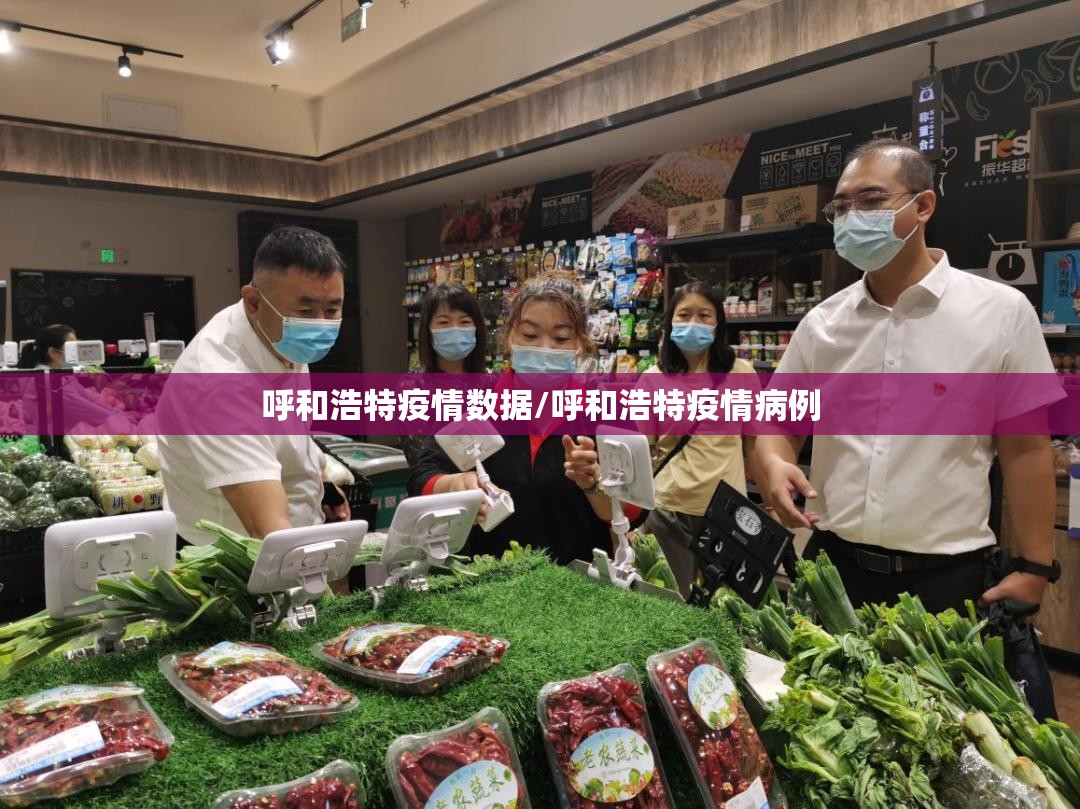 呼和浩特疫情数据/呼和浩特疫情病例