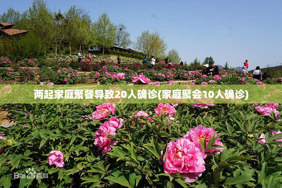 两起家庭聚餐导致20人确诊(家庭聚会10人确诊) 两起家庭聚餐导致20人确诊(家庭聚会10人确诊)