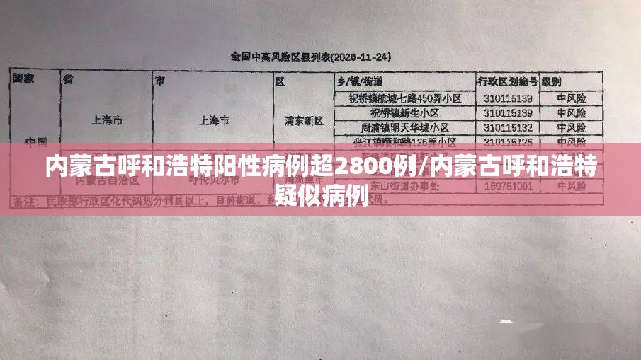 内蒙古呼和浩特阳性病例超2800例/内蒙古呼和浩特疑似病例 内蒙古呼和浩特阳性病例超2800例/内蒙古呼和浩特疑似病例